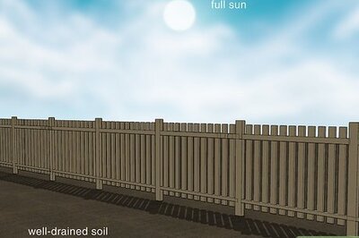 How to Make a Smudge Stick