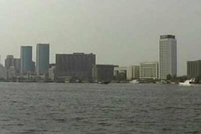 Dubai govt won\'t back Dubai World debt crisis: official