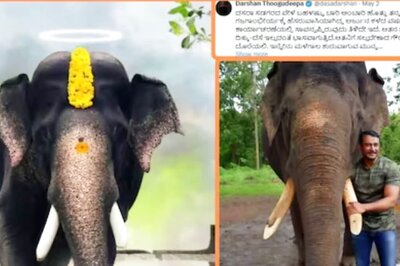 Darshan To Send Stones For Deceased Elephant Arjuna’s Burial Site: Report