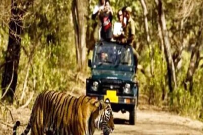 All 6 Madhya Pradesh Tiger Reserves to be Opened For Visitors From October