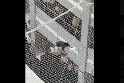 WATCH | Man Jumps Off from Second Floor of State Mantralaya Building in Mumbai, Falls on Safety Net