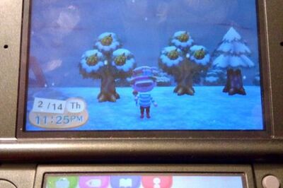 How to Catch a Coelacanth in Animal Crossing: New Leaf