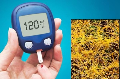 Increasing Testosterone To Healing Mouth Ulcers, 3 Amazing Health Benefits Of Amarbel