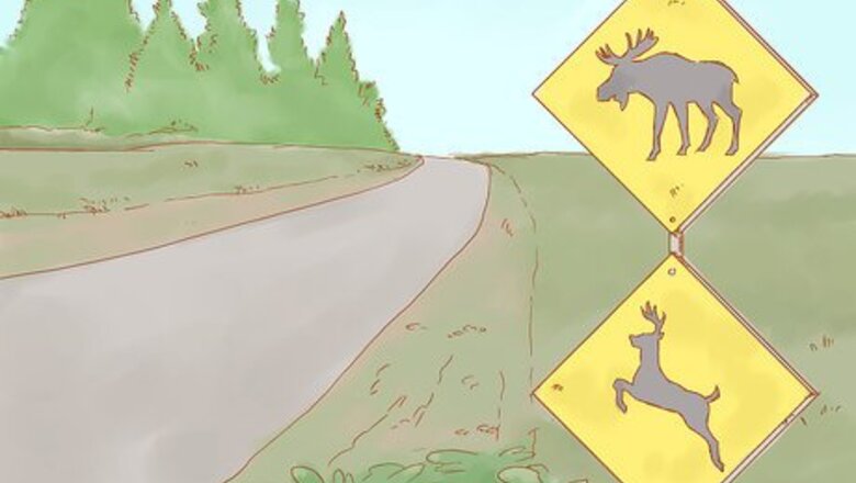 How to Avoid a Moose or Deer Collision