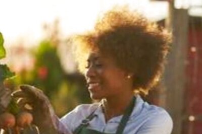 If You Are A Gardening Enthusiast, Here Are Ways To Save Vegetable Seeds For Next Year