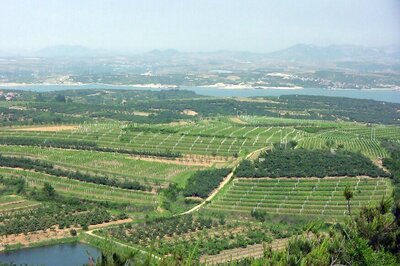 Lafite Label is Set To Finally Launch a Chinese Wine
