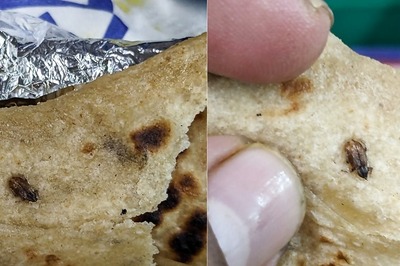 Passenger Finds Cockroach in Meal Served on Vande Bharat Express, IRCTC Responds
