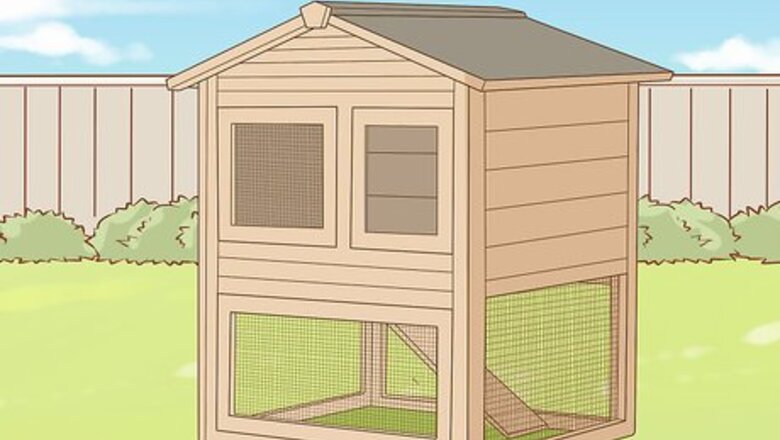 How to Keep a Pet Chicken