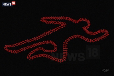 Woman Dead After Being Hit by Delhi Doctor's Car, 2 Others Injured