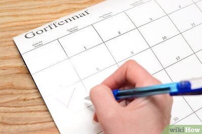 How to Organize a Family Picnic