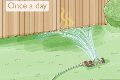 How to Get Rid of Urine Smell Outside