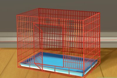 How to Housebreak a Dog Using a Crate