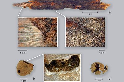 Veggie Stew On The Menu 10,000 Years Ago