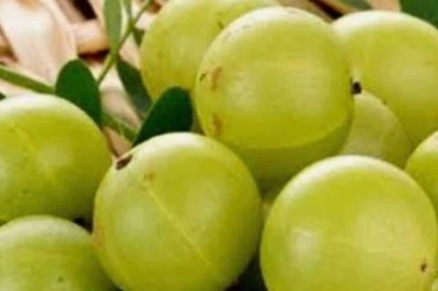 7 Amazing Health Benefits of Amla