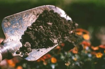 Archaeologists Uncover 10,000-year-old Gold Relics In China