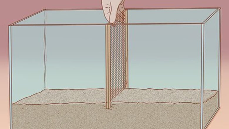 How to Split Cage a Gerbil