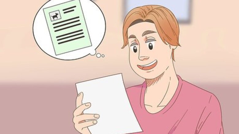 How to Register Your Dog
