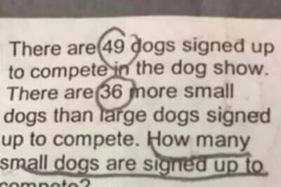 Brain Teaser: Can You Solve This Dog Puzzle Without Using a Calculator?