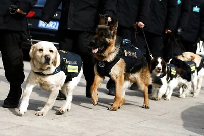 New Tech Allows Dog Squad to Live Stream From Risky Areas