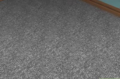 How to Detect Mold in Carpet