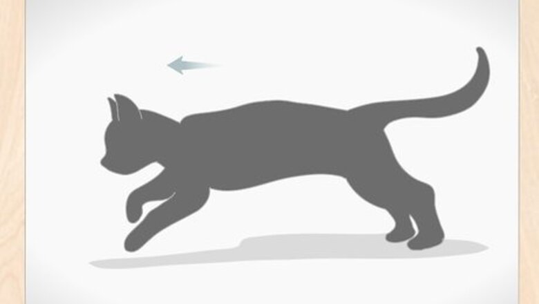 How to Draw a Running Cat