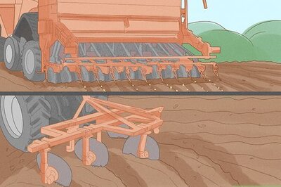 How to Help Prevent Desertification