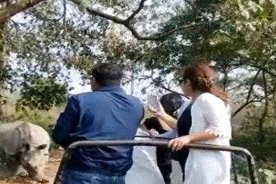WATCH | 6 Tourists Injured After Safari Jeep Falls Into Pit in Rhino Attack in Bengal's Alipurduar