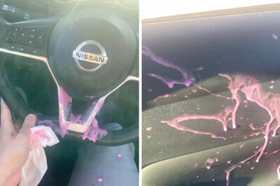 Woman’s Car Becomes Target Of Paint Balloon Prank, Internet Calls It ‘Vandalism’