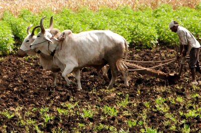 PM Kisan eKYC Deadline Extended Till July 31: How to Complete eKYC On PM Kisan Website