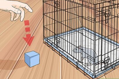 How to Train a Rat to Retrieve Objects