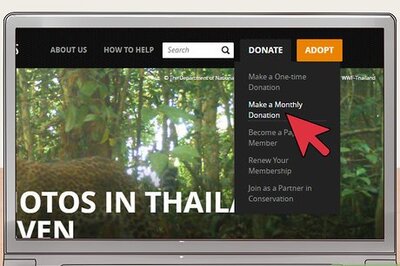 How to Help Protect Polar Bears