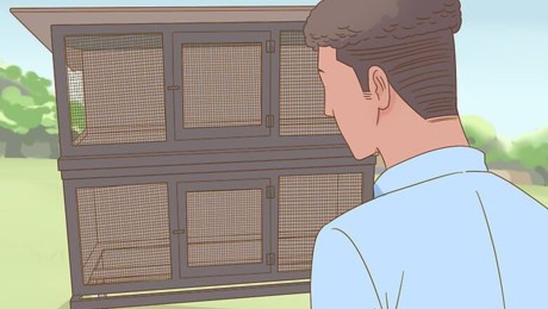 How to Add New Quail to a Flock