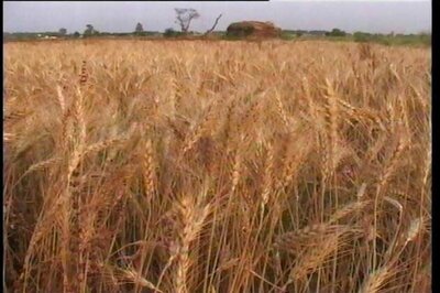 MP asks Centre to review order on bonus price for foodgrains