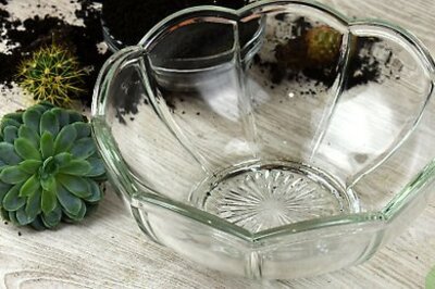 How to Make a Cactus Terrarium