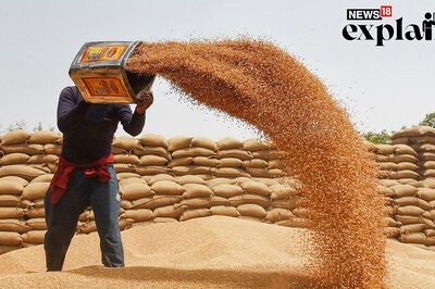 Wheat Stock Limit: Govt Tightens Norms To Curb Hoarding, Check Price Rise