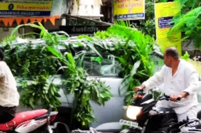 Video Of Eco-friendly Wedding Car Covered In Plants Viral