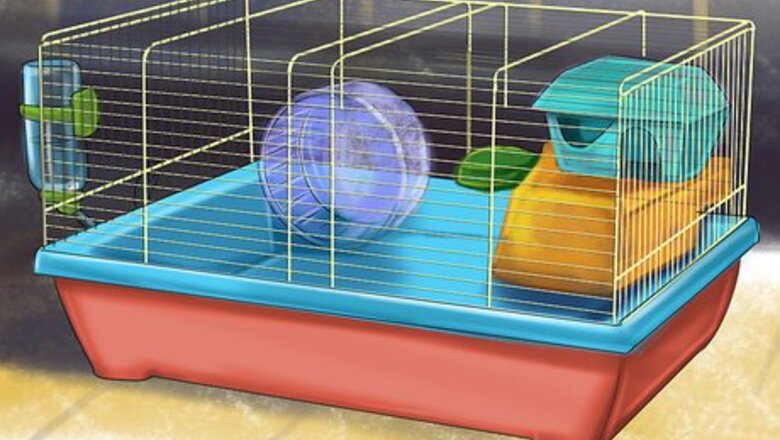 How to Prevent Respiratory Problems in Guinea Pigs
