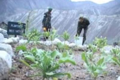 Go Siachen for adventure tourism