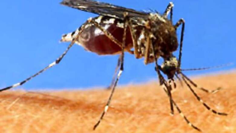 Nation-wide dengue awareness campaign launched