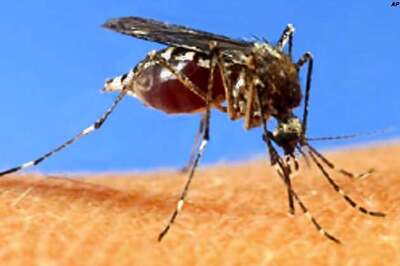 Nation-wide dengue awareness campaign launched