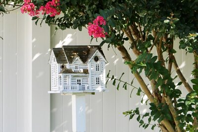 International Day for Biological Diversity 2022: Things You Can Do To Conserve Biodiversity