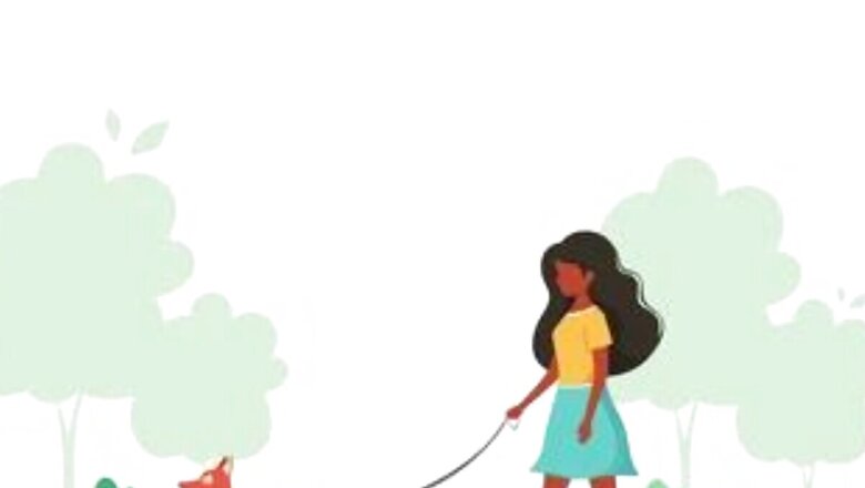 5 Essential Summer Tips for Walking Your Dog