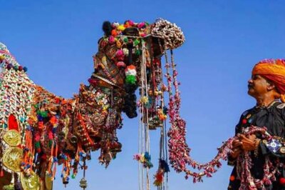 Lumpy Skin Disease: No Cattle Fest at Pushkar Fair This Year