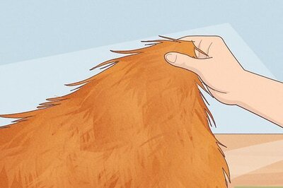 How to Make Fursuit Paws