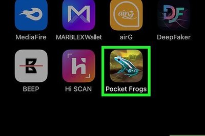 How to Become a Successful Pocket Frogs Player