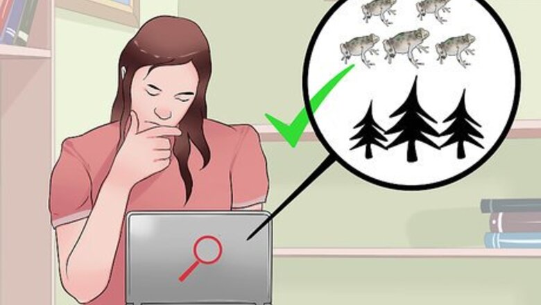 How to Care for Northern Cricket Frogs