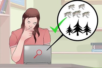 How to Care for Northern Cricket Frogs