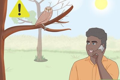 How to Identify a Rabid Animal