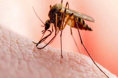 Dengue Tally This Year Crosses 4K-mark in Delhi, Over 500 Cases in December