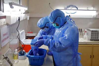 Minister Says Chhattisgarh Will Buy 75,000 Rapid Testing Kits, at Rs 337 per Unit, from South Korean Firm